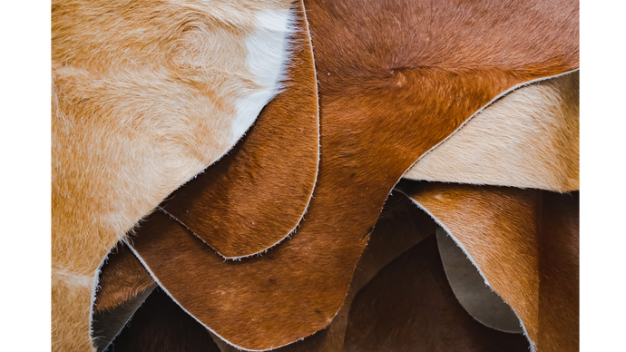 How To Clean A Cowhide Rug - The Complete Guide