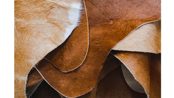 How To Clean A Cowhide Rug - The Complete Guide