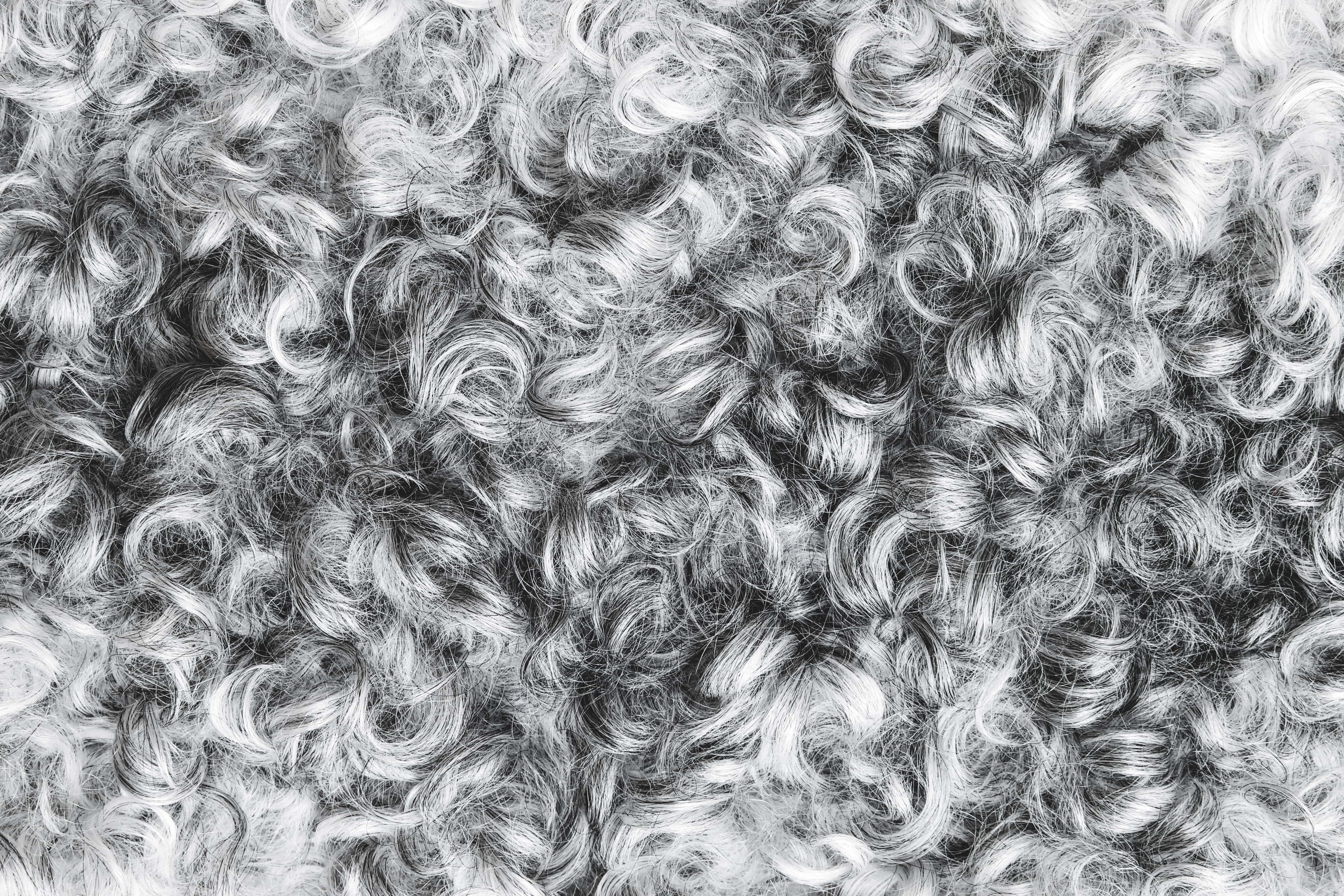 Sheep Hide Rug: Qualities, Manufacturing And Usage