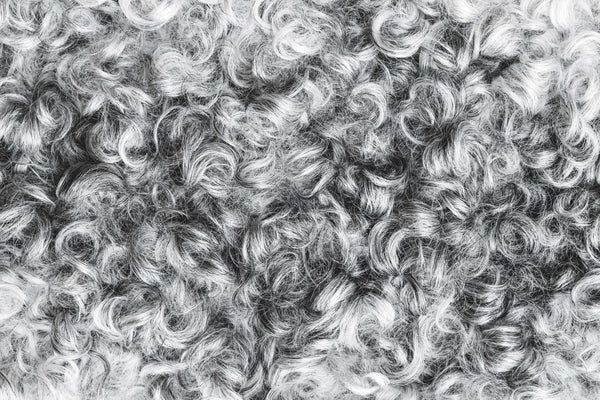 Sheep Hide Rug: Qualities, Manufacturing And Usage