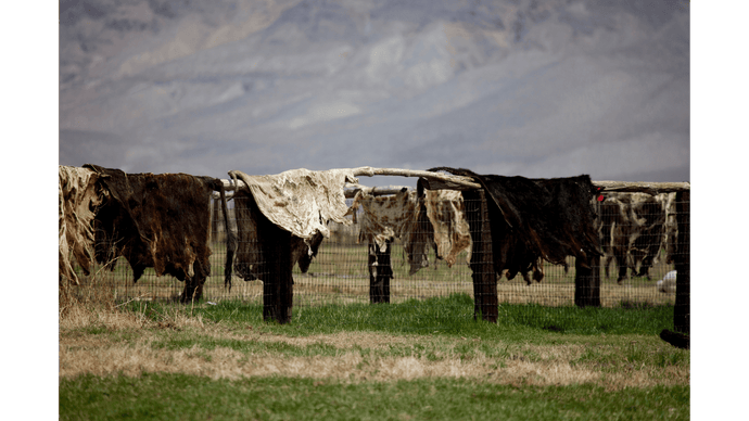 Things Are Made From Cowhide