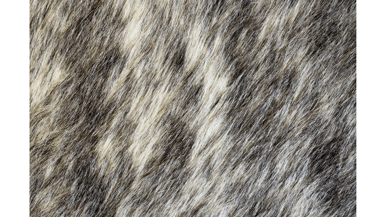 Vegan Leather: Ethical Alternatives to Animal Hides