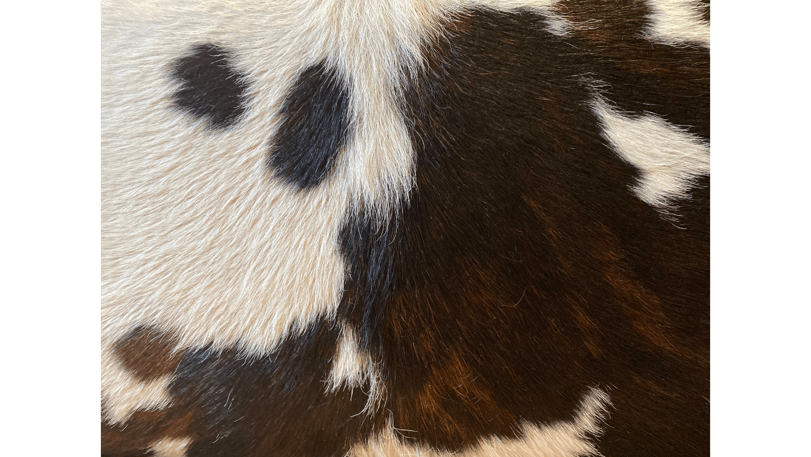 Keep Your Cowhide Rug Spotless and Chic