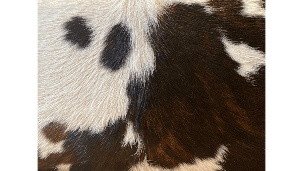 Keep Your Cowhide Rug Spotless and Chic