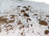Brown Salt N Pepper Cowhide Rug #1474