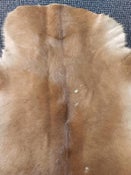 Cowhide rug small hide 1332