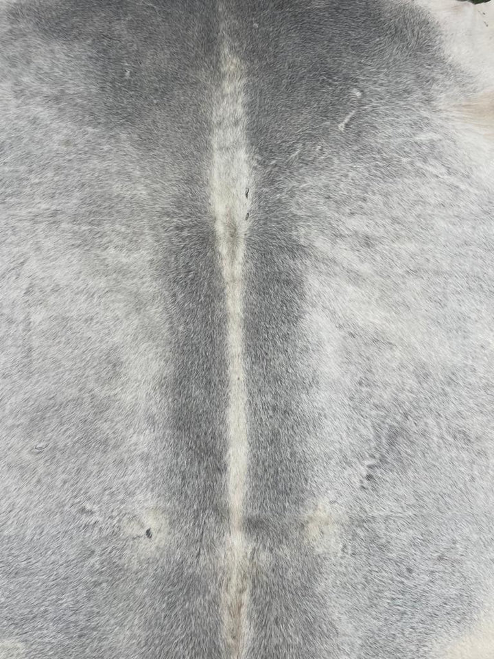 Cowhide Rug Rear Grey